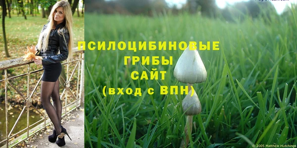 марки lsd Абаза
